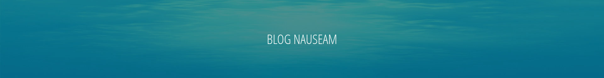 What’s changed at blog nauseam and why